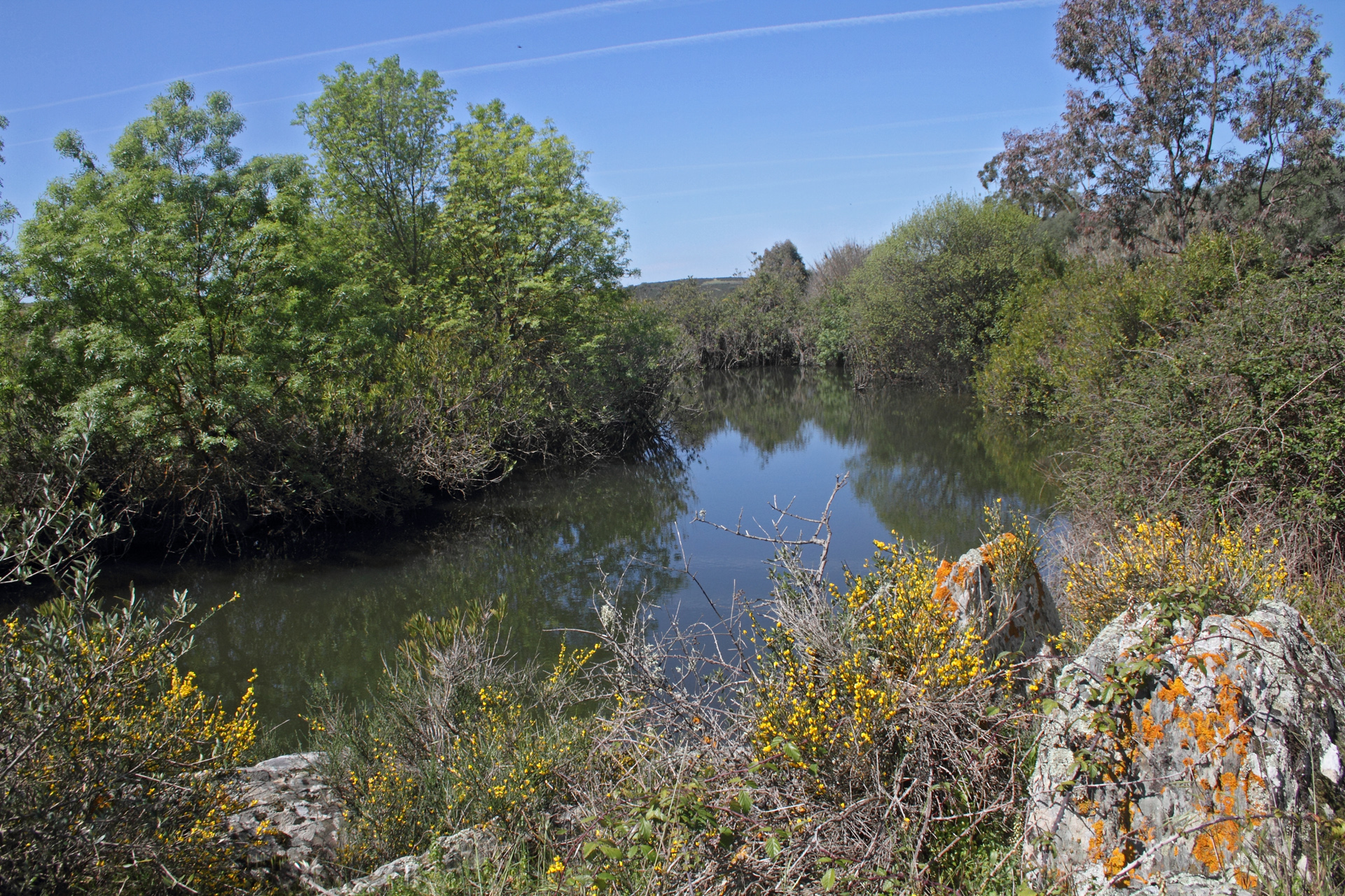 ... Habitat von Nachtigall, Seidensänger und Seidenreiher