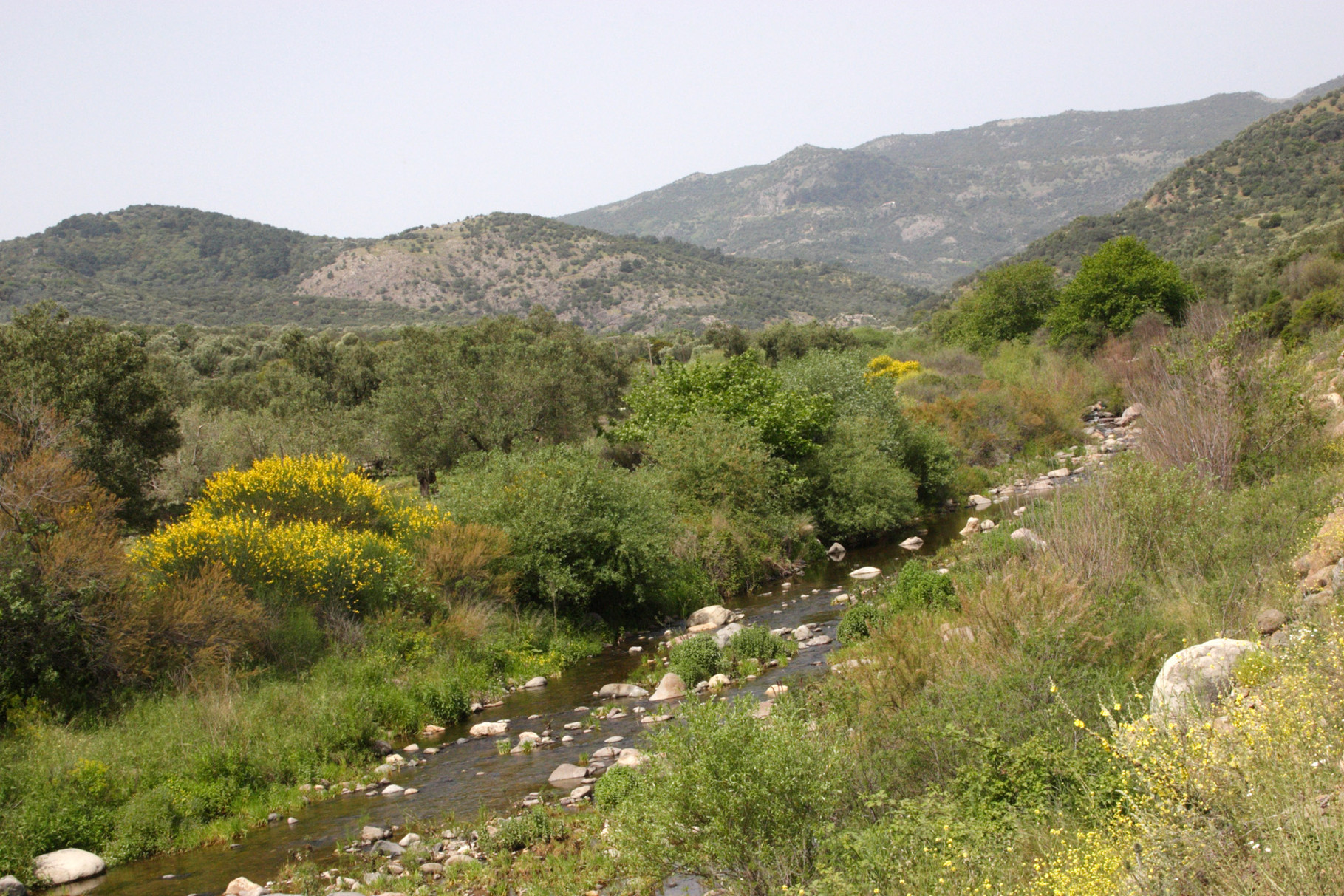 Das Potami-Valley in der Nähe von Kalloni