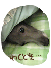 フィンリー