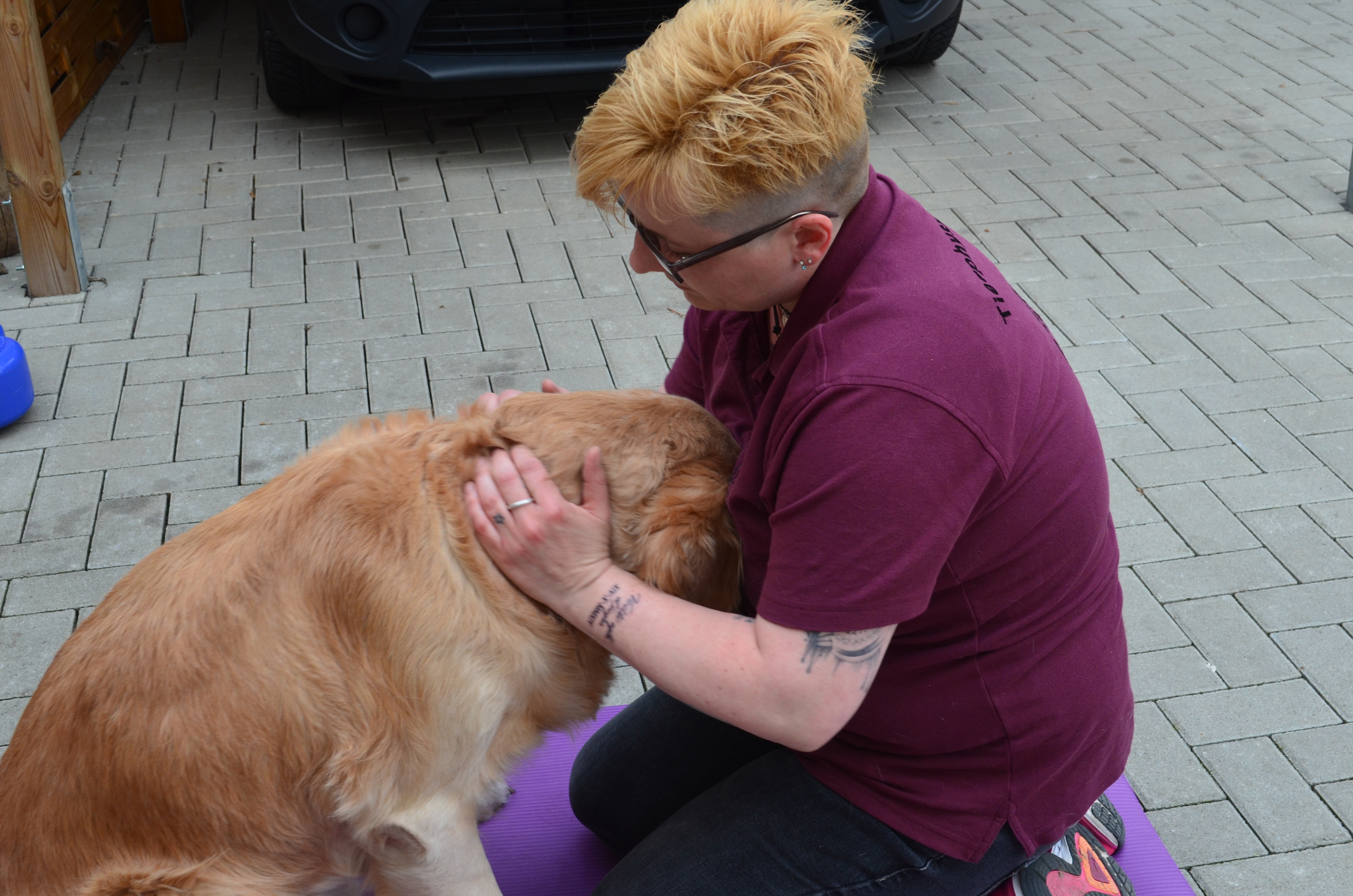 Blutegeltherapie hundundpferdkörperfit.de