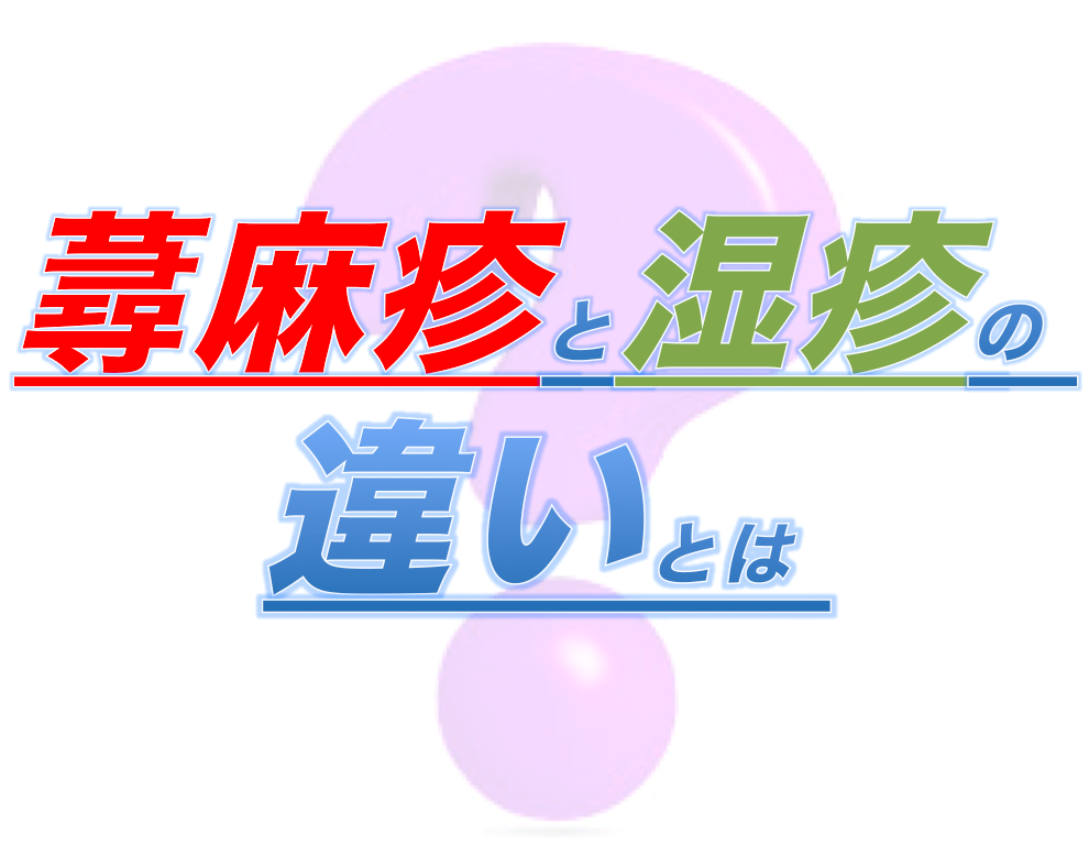 蕁麻疹と湿疹の違い 日本アレルギーリハビリテーション協会