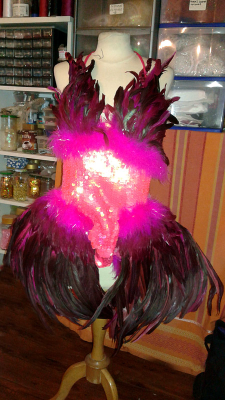 ensemble plumes bresilien show