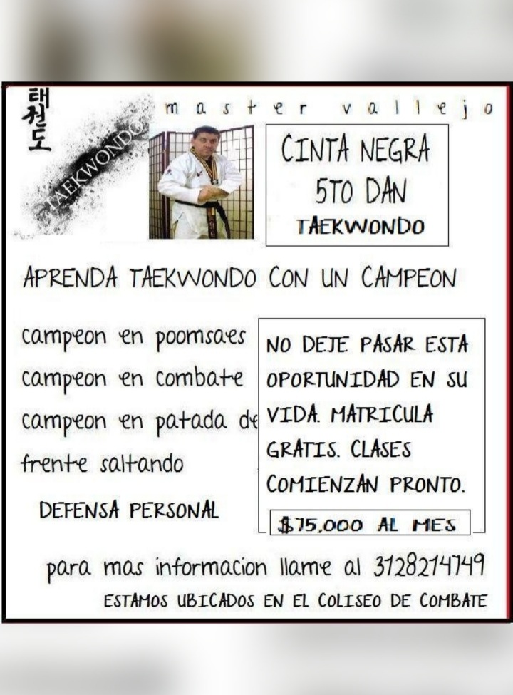Página web de mastervallejo