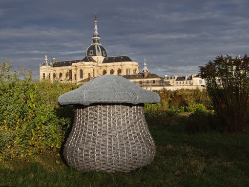Le Champicomposteur et la cathédrale Saint Louis