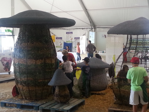 Atelier pédagogique - Remplissage des Matières végétales par les enfants