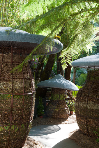 Photographie Alexandre Petzold