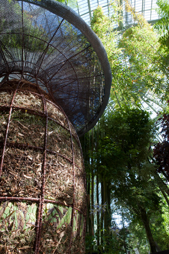 Photographie Alexandre Petzold