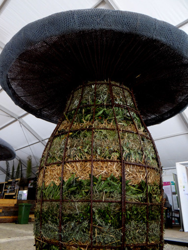 Remplissage du plus grand Champicomposteur