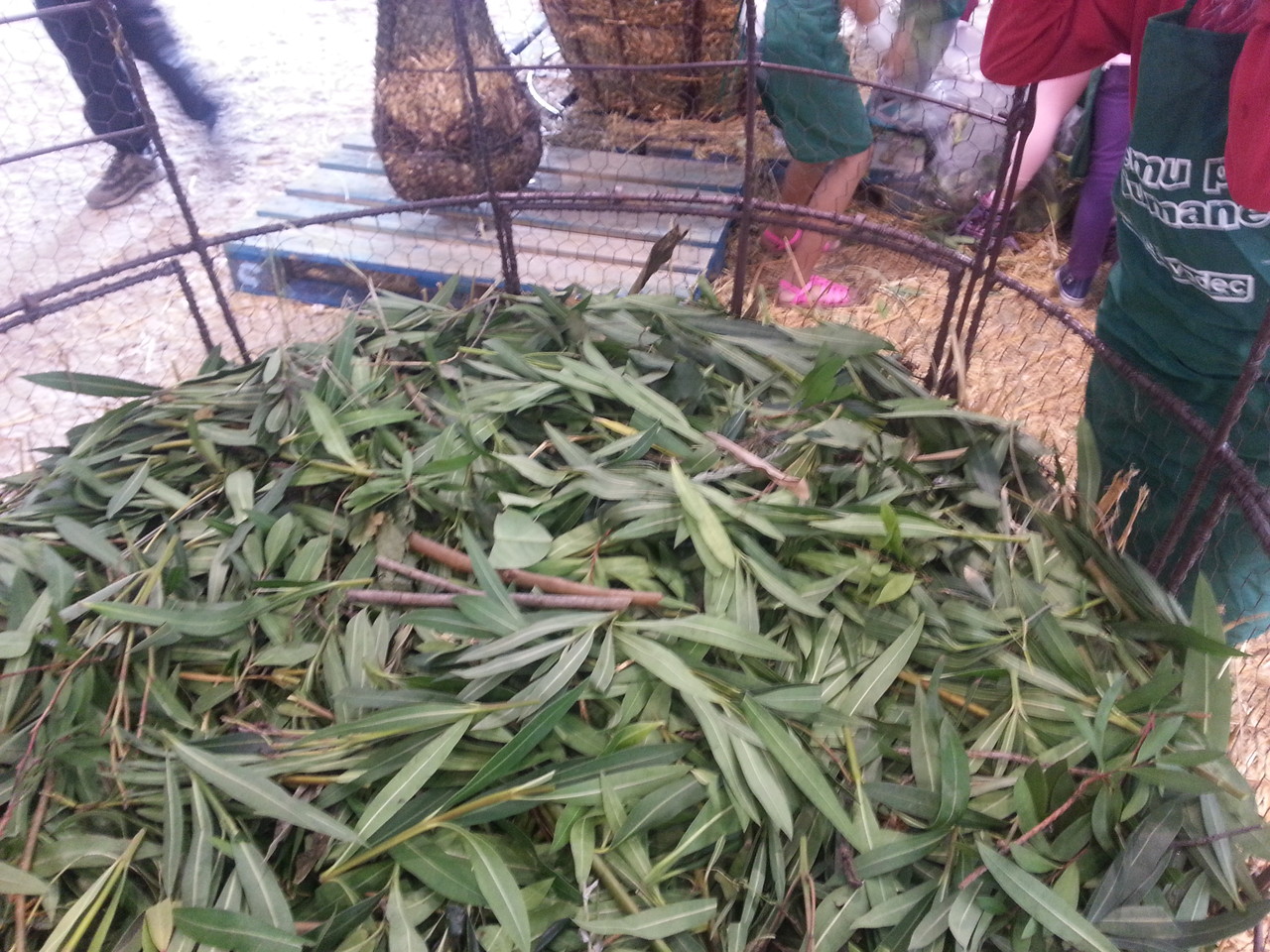 Atelier pédagogique - Remplissage des Matières végétales par les enfants