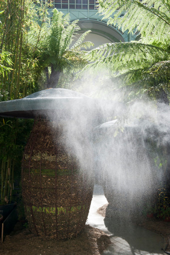 Photographie Alexandre Petzold