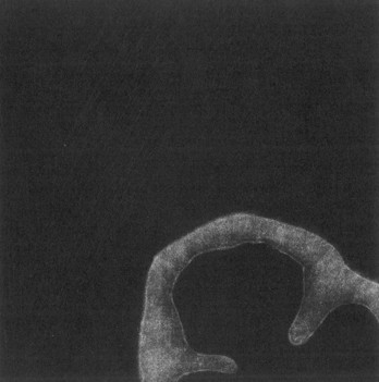 Eliana Bürgin-Lavagetti | Schnittstellen 2001/2002. Mezzotinto. Kupferplattenformat 12,5 x 12,5 cm, Blattgrösse 20 x 20 cm, Zerkall Bütten 300 g/m2.