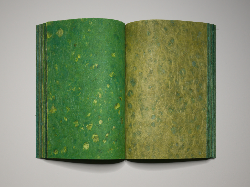 Aufgeschlagenes Buch grün (die Buchseiten mit unterschiedlichen Grüntönen bemalt)