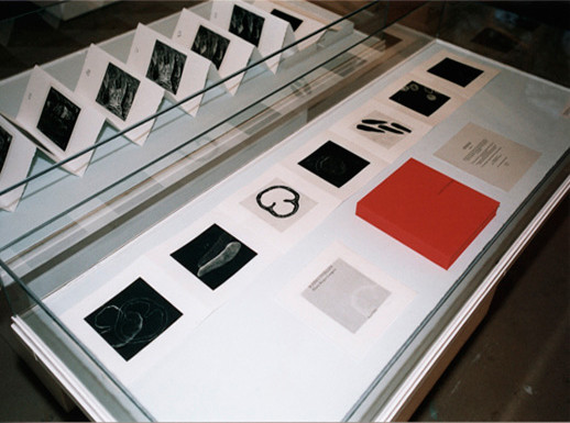 Schnittstellen. Ausstellungsraum auf der Lyss, Basel, Schweiz, 2002