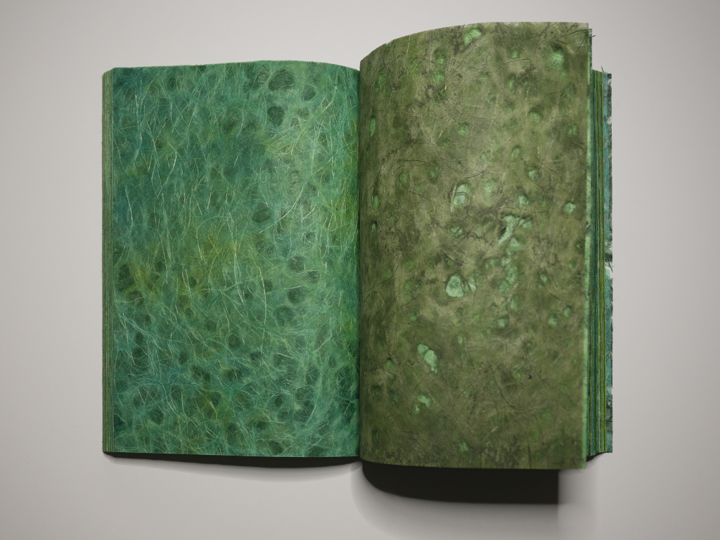 Geöffnetes Buch grün (98 Seiten mit verschiedenen Grüntönen bemalt)