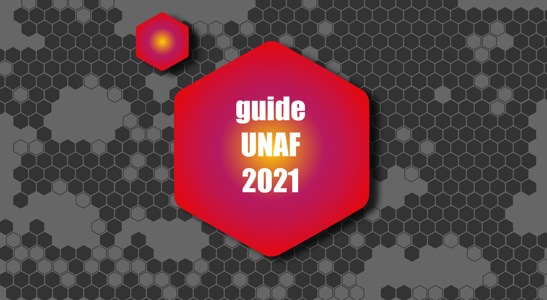 Guide UNAF 2021 - Frelon asiatique