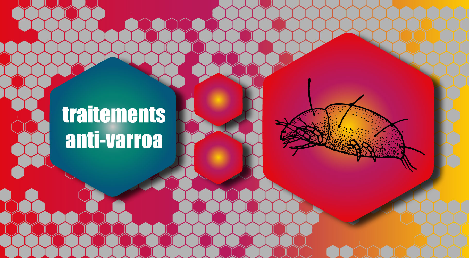 Traitements anti-varroa