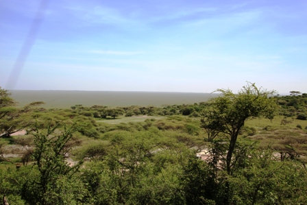 Blick in die Serengeti