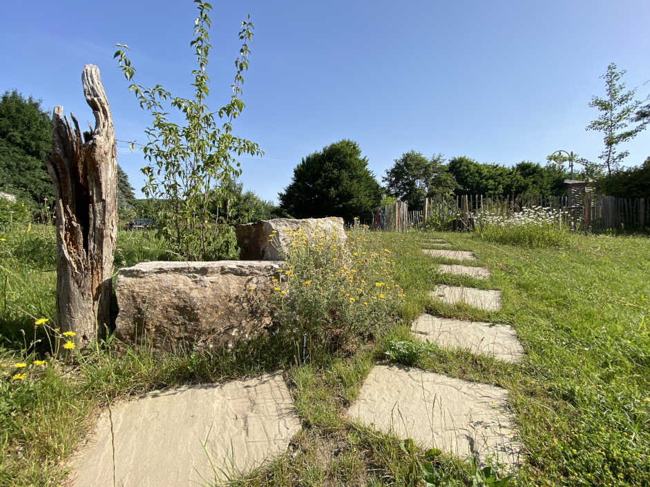 Das Totholz am Entdeckerpfad dient als Nahrungs- und Lebensquelle für Insekten