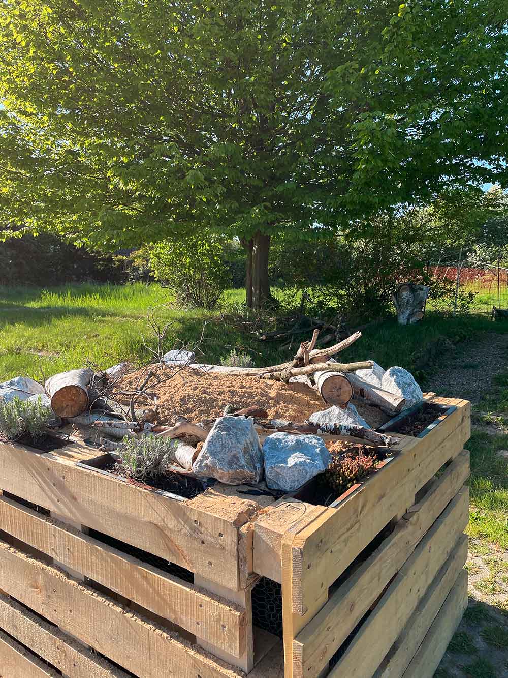 Unser Sandarium für Wildbienen und andere Insekten ist fertig