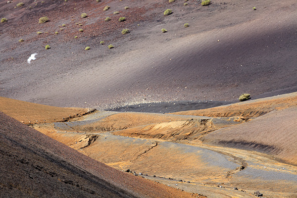 Parque Nacional de Timanfaya