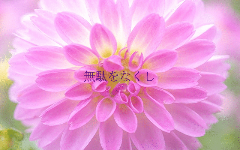 参列者 服装 ご葬儀 お葬式ならお任せください 参列者 服装 ご葬儀 お葬式ならお任せください