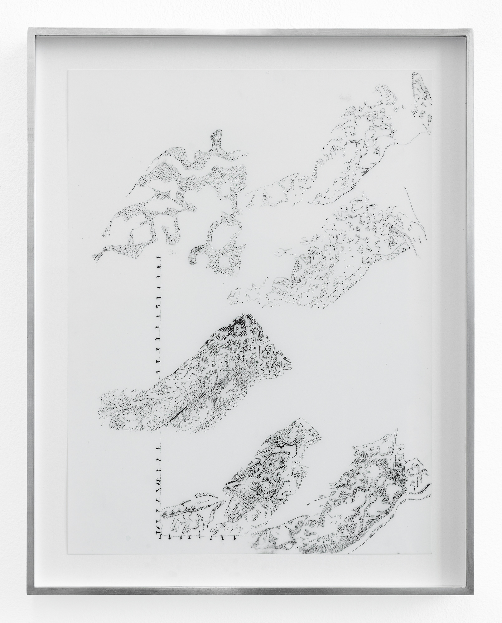 Johanna Tiedtke, aus der Serie "Flora", Tusche auf Transparentpapier, 30,5 x 22,7 cm 2021