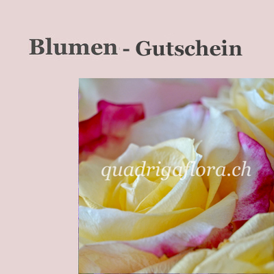 Blumen Gutscheine als Geschenk Idee aus dem Blumengeschäft Quadriga Flora in Meggen Luzern. Lassen Sie sich überraschen.