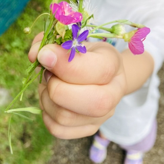 花の色には理由があった
