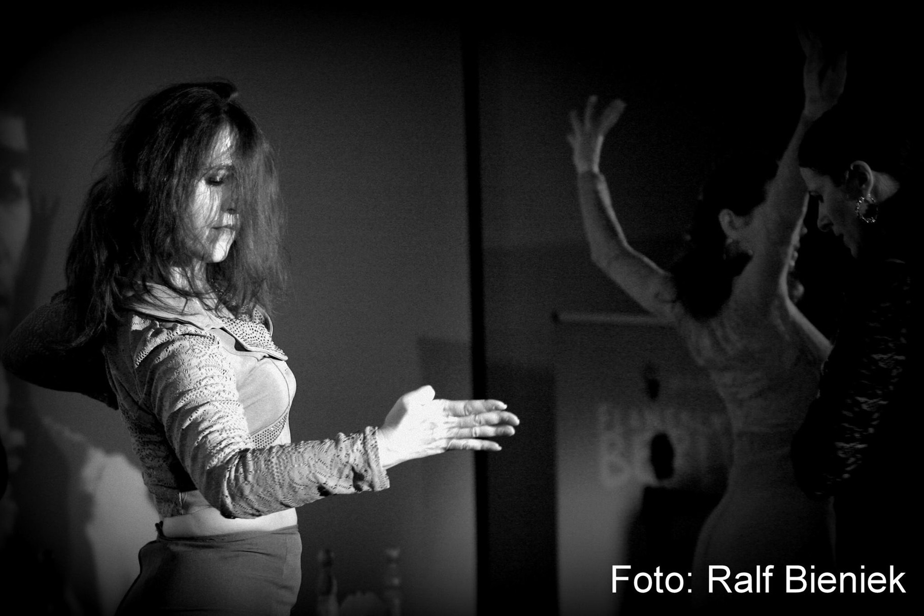 Flamenco en Berlin Festival Dez. 2014 / Instituto Cervantes