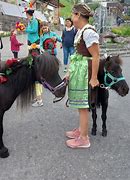 Am Dorftreff (Samstag vor dem Märlitag) machte Isabelle Kappeler einen Ponyumzug