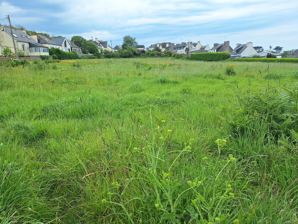 La parcelle 0114, à l'ouest du ribin, côté bourg. A gauche, l'alignement des maisons de la rue Général Leclerc. A droite, les maisons de la rue Amiral Guepratte.