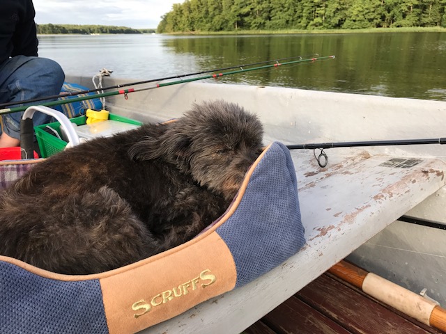 Drewensee, Angeln am Drewensee, Angelurlaub, Ferienhaus mieten, Matildaurlaub, Matilda