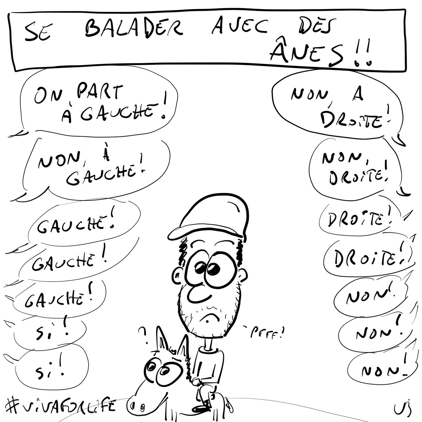 Se balader avec des ânes