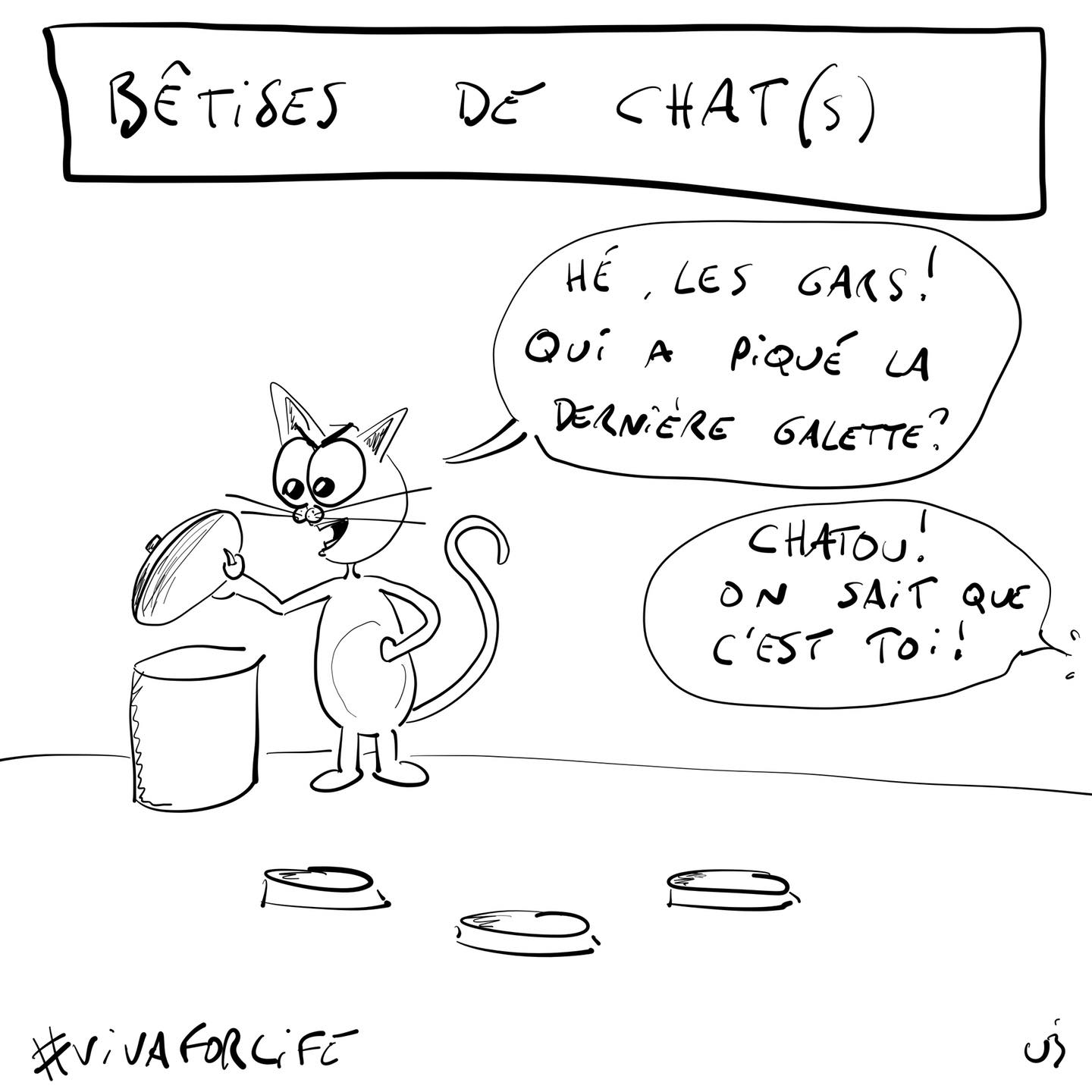 Bêtises de chats