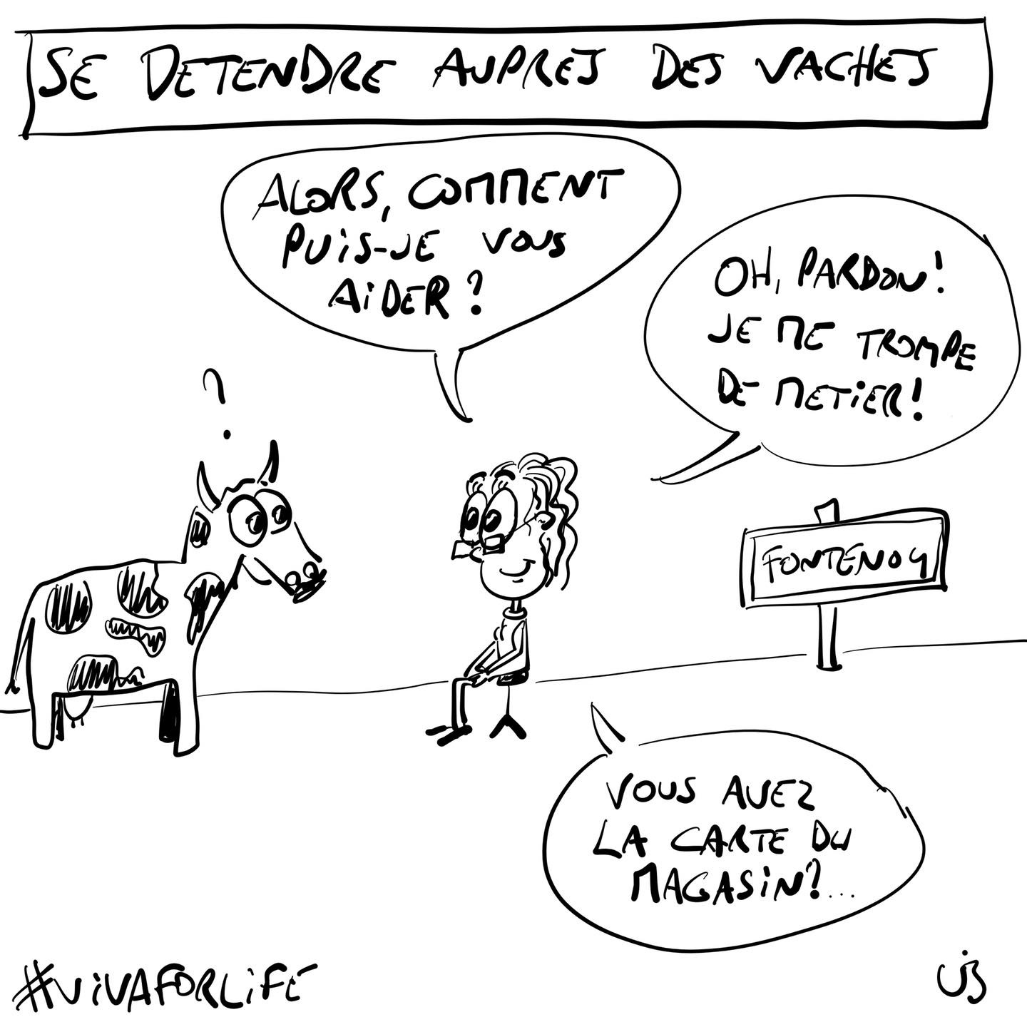 Se détendre auprès des vaches