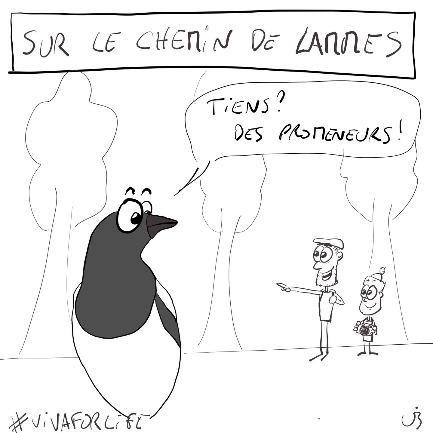 Sur le chemin de Lammes
