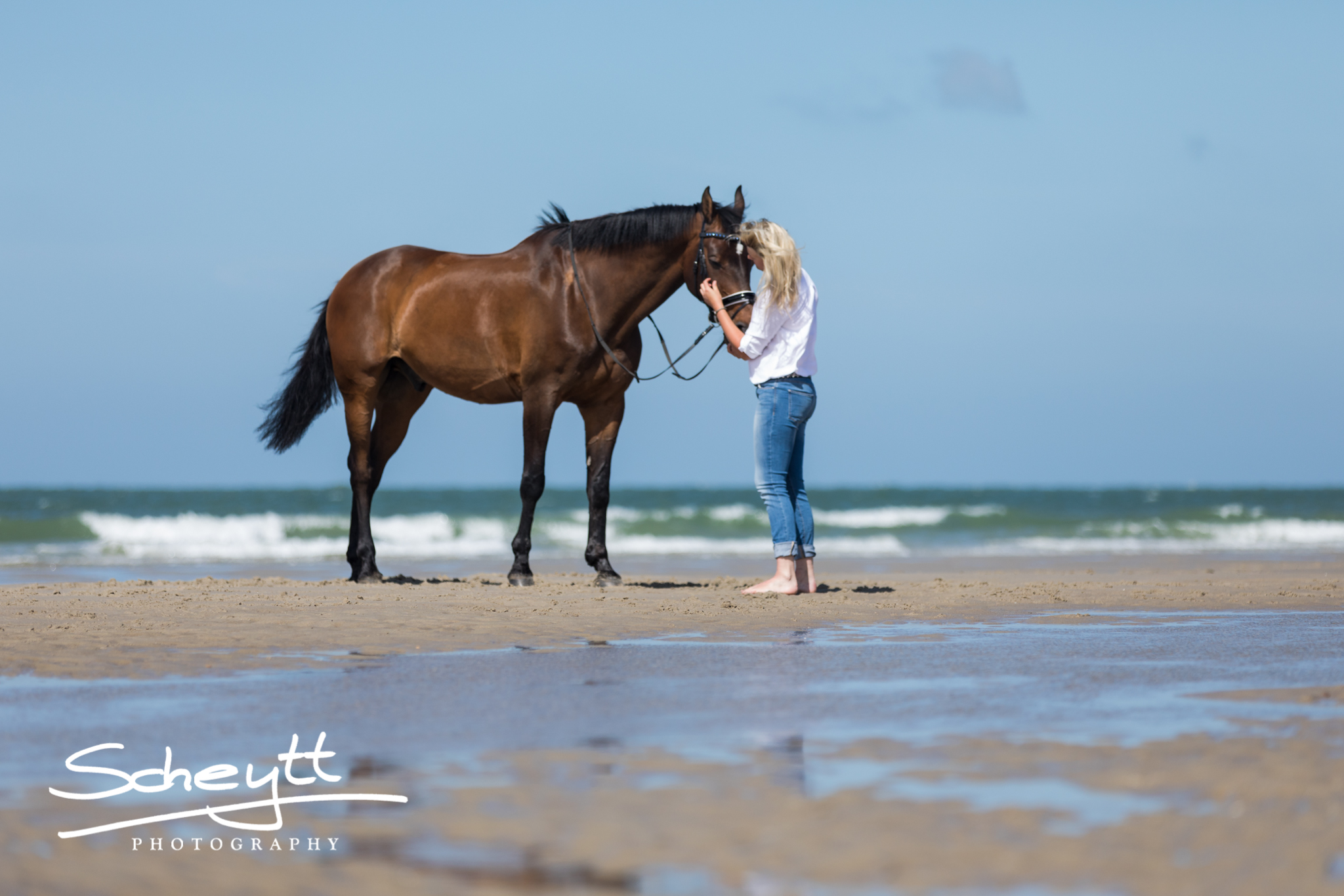 Erfülle Dir Deinen Traum von Fotos & Urlaub mit Deinem Pferd am Strand ...