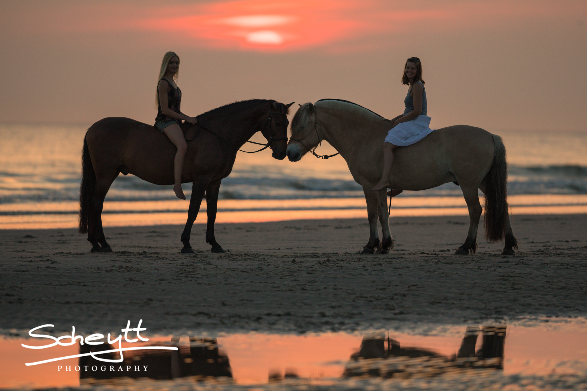 Erfülle Dir Deinen Traum von Fotos & Urlaub mit Deinem Pferd am Strand ...