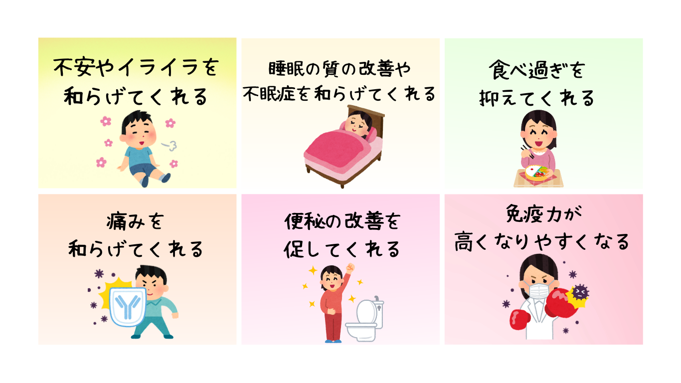 人の手が持つ《手当て》の不思議な力