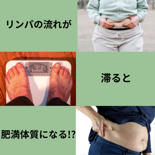 リンパの流れが滞ると肥満体質になる!?