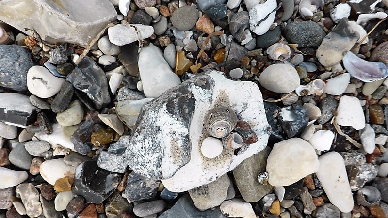 Spaziergang am Sandstrand - Reisetagebuch der Travelmäuse