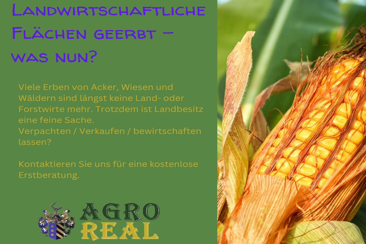 ÄCKER / WÄLDER / WIESEN GEERBT – was nun?