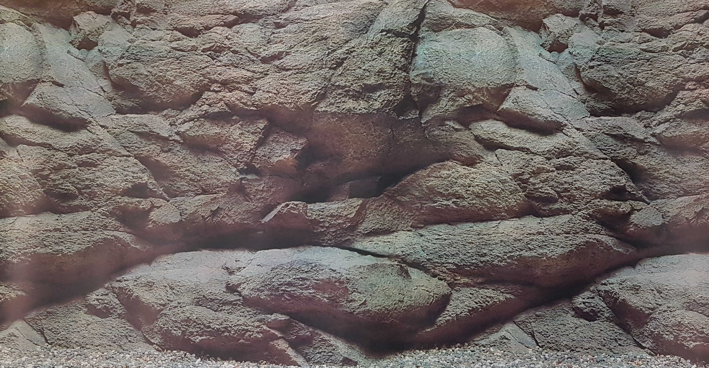Diverse Deko-Artikel & Natursteine - Aquarium Dekoration und Technik