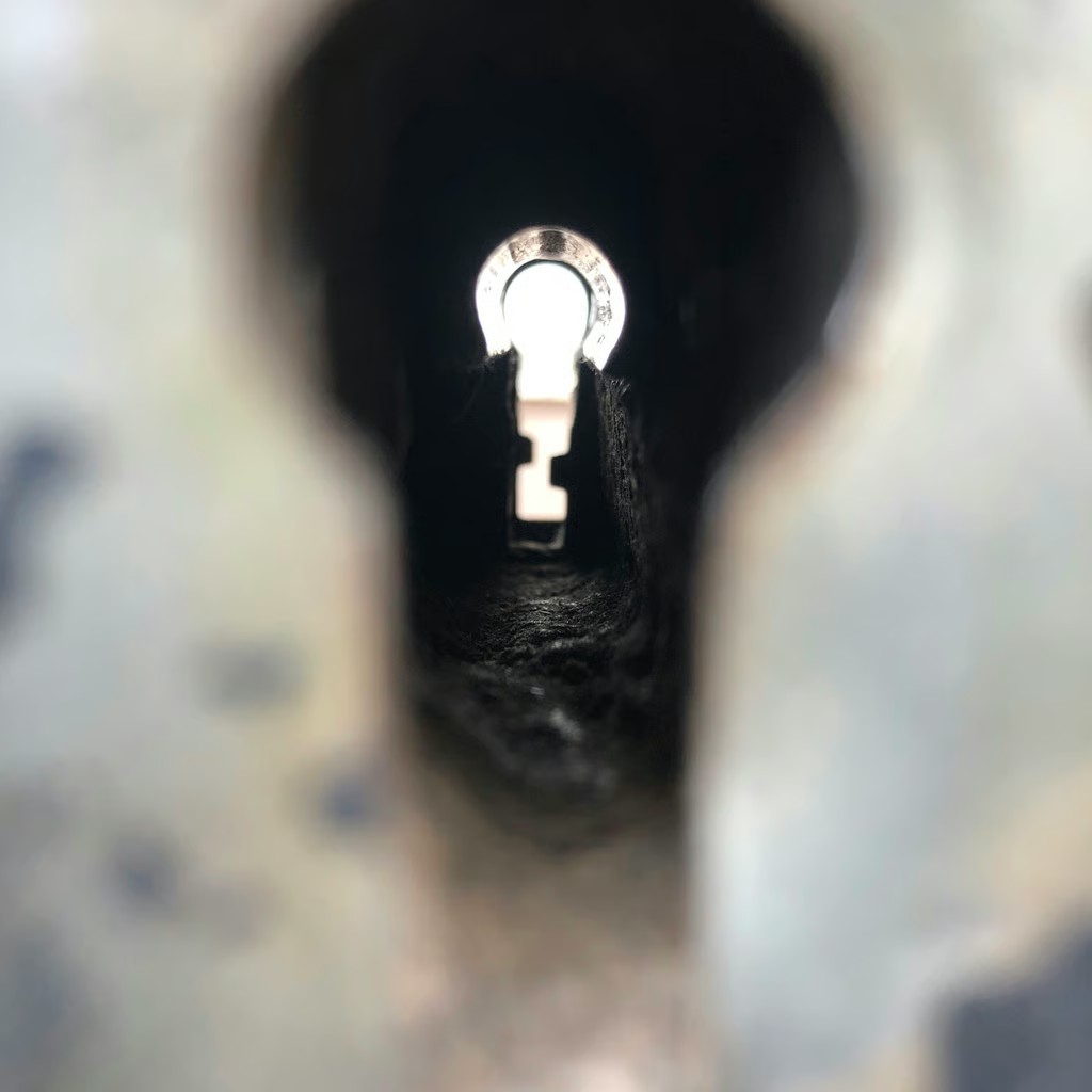 Legendari Guest(TBA) 