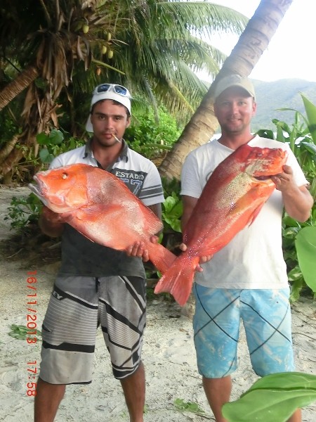 Seychelles fishing Humphead & Emperor Snapper