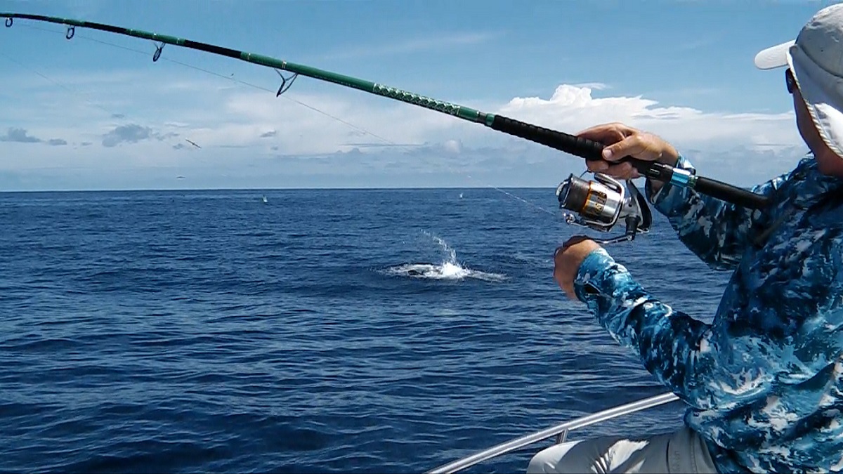 14100. скумбрия фото. Old fisherman. мужчина рыбы. Sea catch.