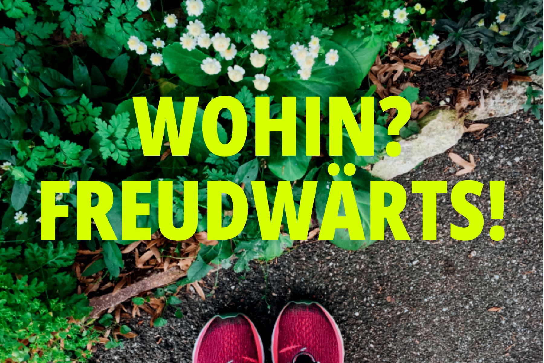 ICH BEGLEITE DICH FREUDWÄRTS! — Mein Coaching-Ansatz