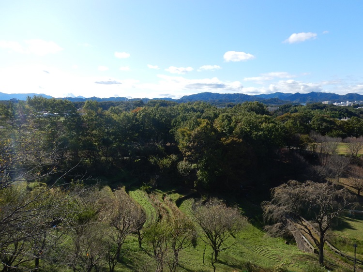 2021年10月26日撮影