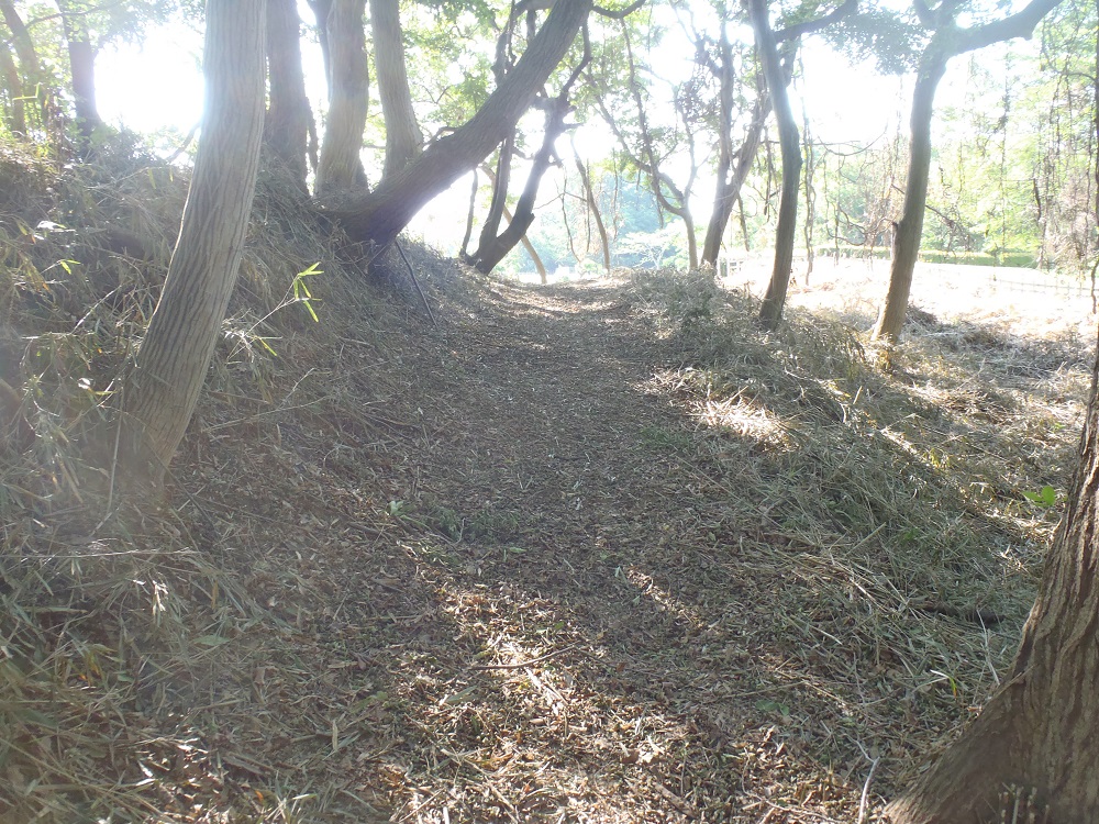 公園の一番高いあたりです。
