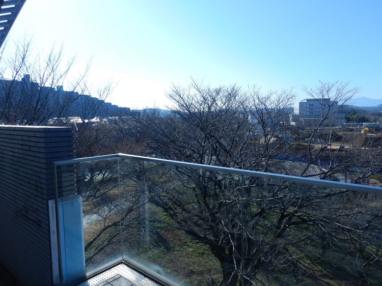 2022年1月24日撮影
